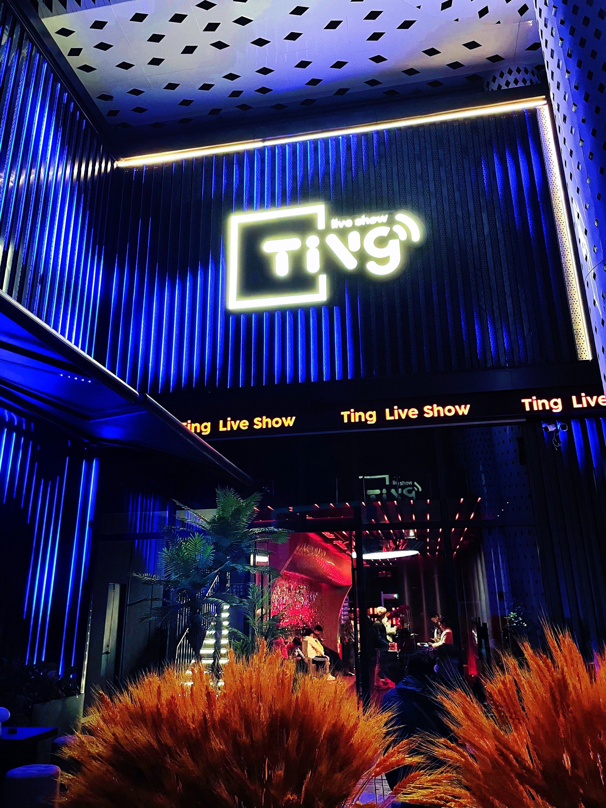 延安商务ktv意义解析-延长县ktv预定